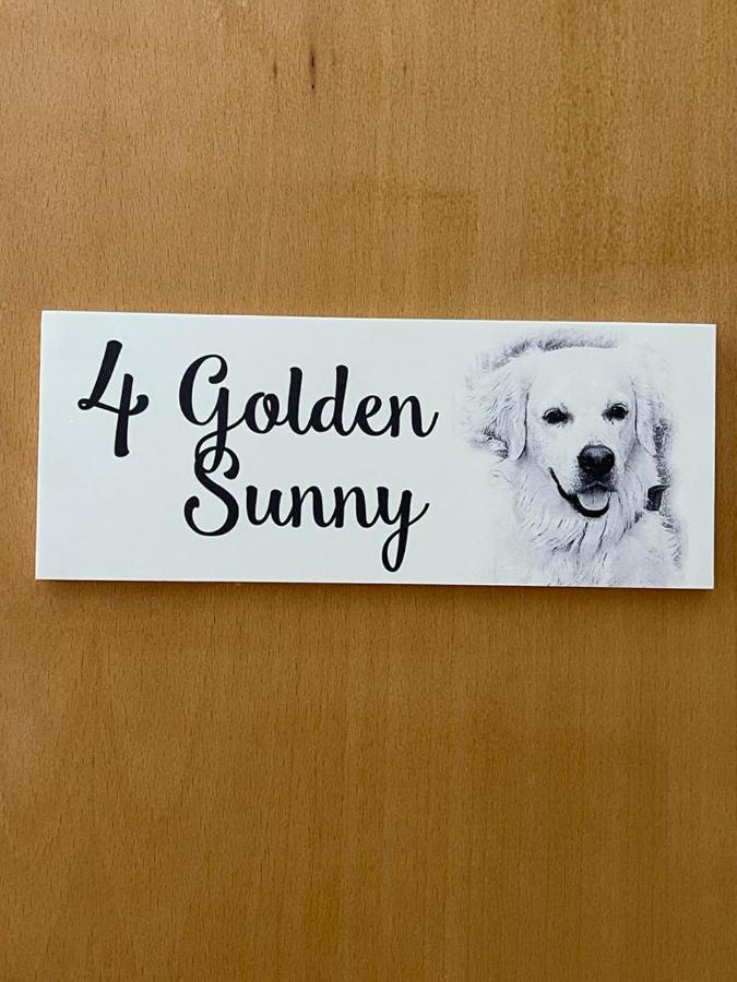 Hostel Sunny, The House - Al Distrikt Distrikt Faro Zimmer foto